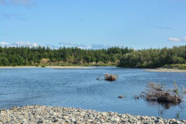 Kutup Urallar kuzey taiga nehri. 