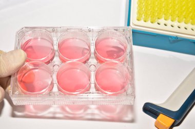 Biyolojik araştırma hücre teknolojileri. 