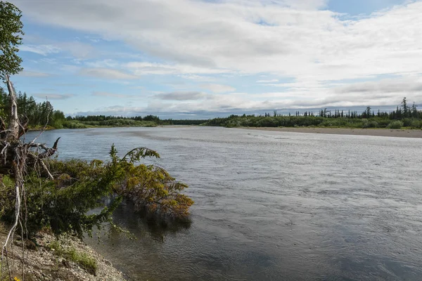 Río taiga Norte en los Urales Polares . —  Fotos de Stock