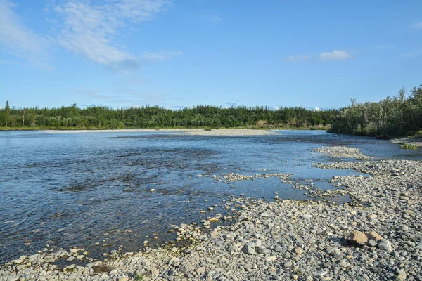 Río taiga Norte en los Urales Polares . — Foto de Stock