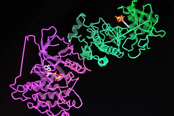 Krystalová struktura bílkovin. — Stock fotografie