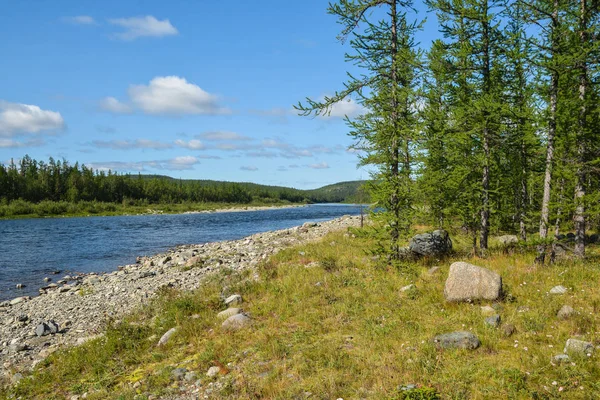 Río taiga Norte en los Urales Polares . —  Fotos de Stock