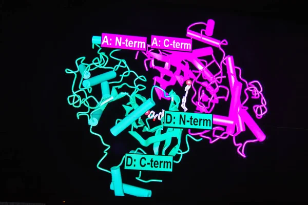 Crystal structure of protein.