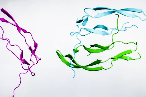 Crystal structure of protein.