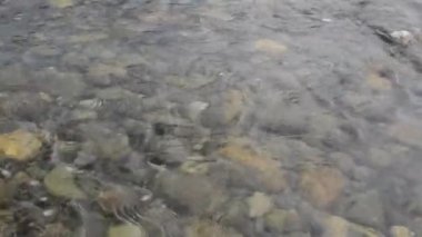 Akan suyun videosu. Kuzey Nehrinin temiz suyu.