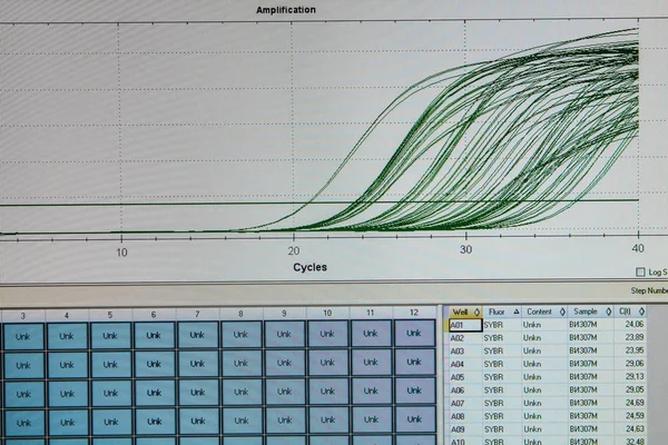 Amplification curves for real-time PCR reactions. — Stock Photo, Image