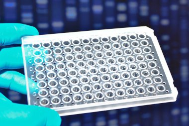 Moleküler genetik ve biyoteknoloji.