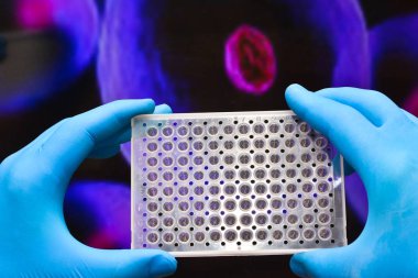 Moleküler genetik ve biyoteknoloji.
