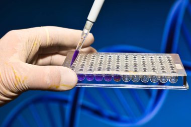 Moleküler genetik ve biyoteknoloji.