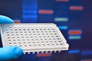 Moleküler genetik ve biyoteknoloji.