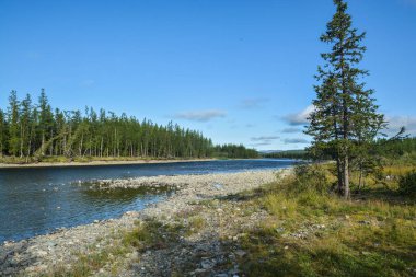 Kuzey nehrinin yaz manzarası.