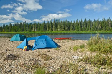 Ulusal parkta yürüyüş. 