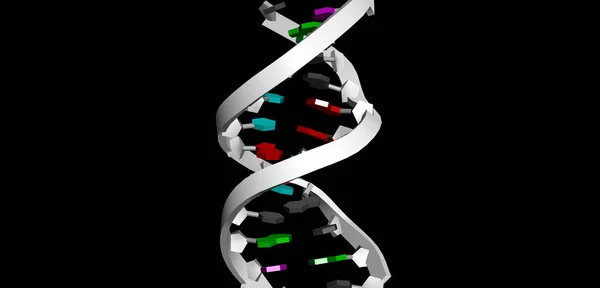 3D-Modell von dna. — Stockfoto