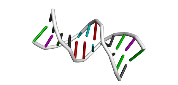 Modello 3D di DNA . — Foto Stock