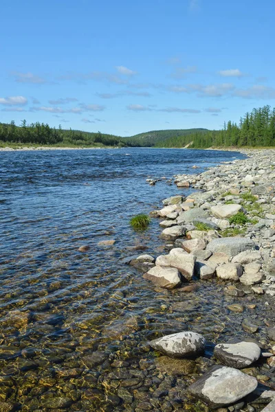 Sommer im polaren Ural. — Stockfoto