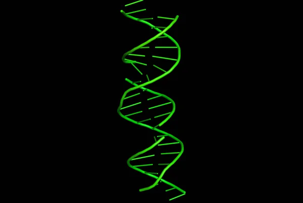 3D-модель ДНК. — стокове фото