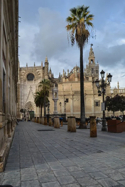 Sevillas Katedral Europas Största Gotiska Katedral — Stockfoto