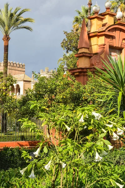 Alcázar Sevilla Complejo Palaciego Sevilla Andalucía Española — Foto de Stock