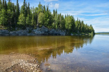 Komi bakir ormanları. Urallar 'ın kuzeyindeki Yugyd va Ulusal Parkı' ndaki Tayga Nehri..