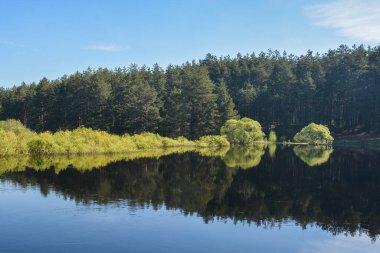 Ryazan bölgesindeki Meshchersky Ulusal Parkı 'nda bahar mevsimi. Orta Rusya 'da su manzarası olabilir.