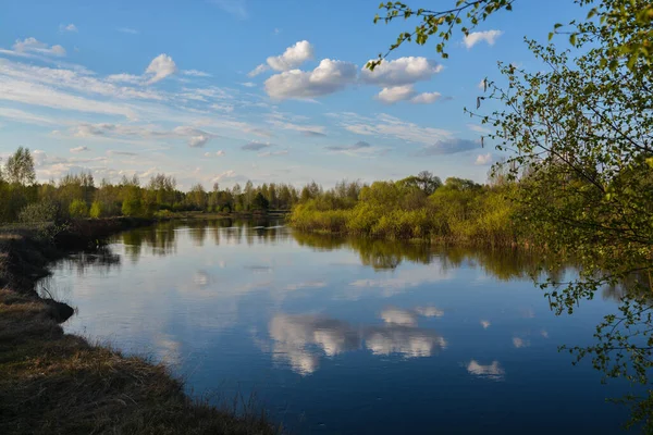 Tavasz Meshchersky Nemzeti Parkban Ryazan Régióban Víz Lehet Táj Közép — Stock Fotó