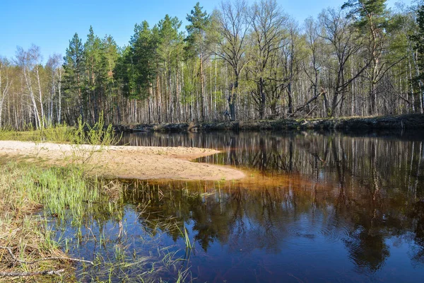 Lente Het Meshchersky National Park Ryazan Regio Water Kan Landschap — Stockfoto