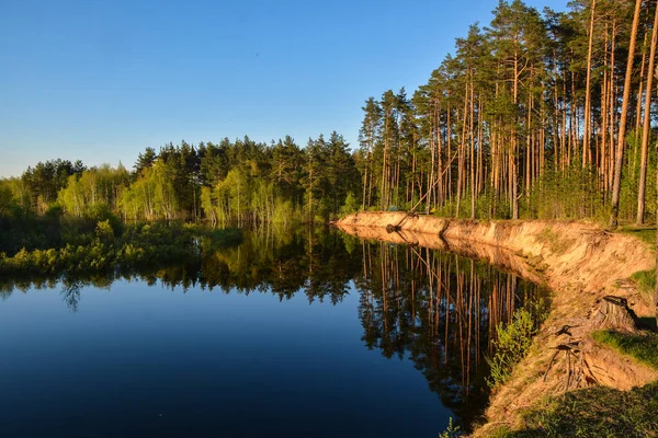 Primavera Nel Parco Nazionale Meshchersky Nella Regione Ryazan Acqua Può — Foto Stock