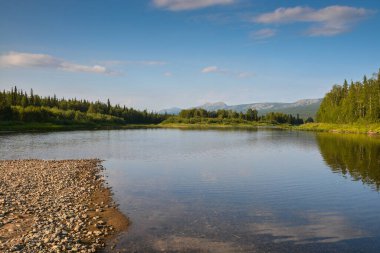 Milli Park Yugyd VA 'da bulunan Taiga nehri Shchugor. UNESCO dünya mirası sahası 