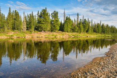 Milli Park Yugyd VA 'da bulunan Taiga nehri Shchugor. UNESCO dünya mirası sahası 