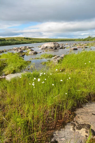 Rivier Toendra Van Yamal Zomer Waterlandschap Het Natuurpark Polar Uralsky — Stockfoto