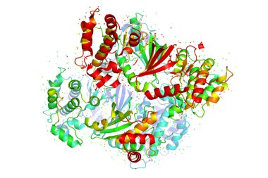 Protein molekülünün yapısı, tümör işaretleyici glioblastoma. MELK geni tarafından kodlanan proteinin X-ışını kristal modeli. 3B görüntüleme.