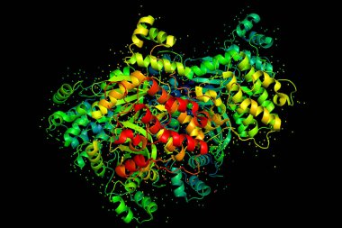 Protein molekülünün yapısı, tümör işaretleyici glioblastoma. MELK geni tarafından kodlanan proteinin X-ışını kristal modeli. 3B görüntüleme.