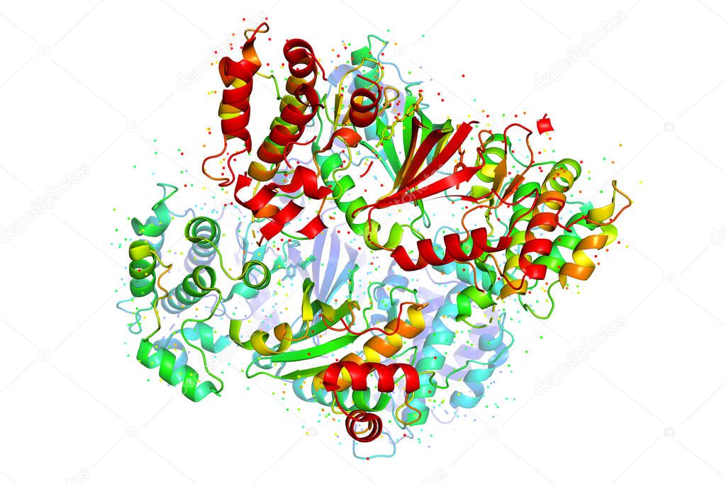 The structure of the protein molecule, tumor marker glioblastoma. X-ray crystalline model of the protein encoded by the MELK gene. 3D rendering.