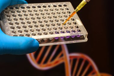 Bilimsel bir laboratuvarda DNA testi. Modern biyoteknoloji yöntemlerini kullanarak genom araştırması.
