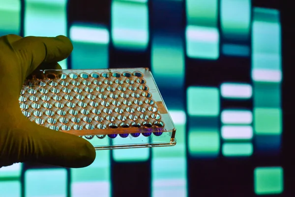 Testes Adn Num Laboratório Científico Investigação Genoma Utilizando Métodos Modernos — Fotografia de Stock