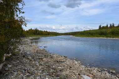 Kutupaltı Urallar nehrinde yazın sonu. Komi Cumhuriyeti 'nin Ural bölgesinde su manzarası.