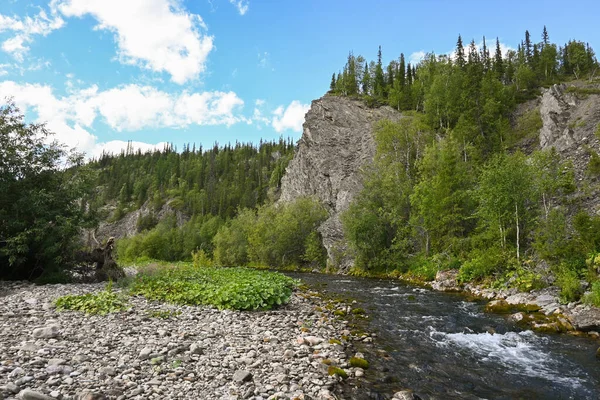 Klippor Lemva River Klippiga Stränder Övre Delarna Floden Subpolära Uralbergen — Stockfoto