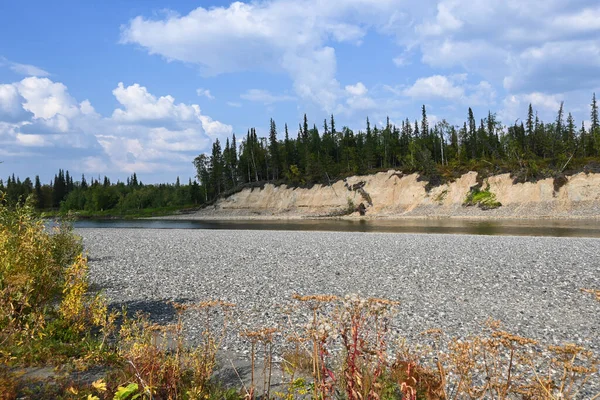 亜寒帯の川に夏の終わり コミ共和国ウラル地方の水景 — ストック写真
