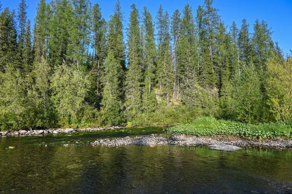 Lemva River Bank Rivière Taiga Dans République Komi Dans Nord — Photo