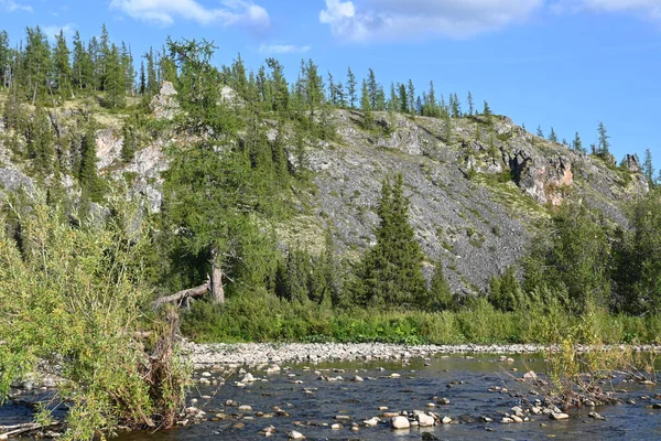 Lemva River Bank Rivière Taiga Dans République Komi Dans Nord — Photo