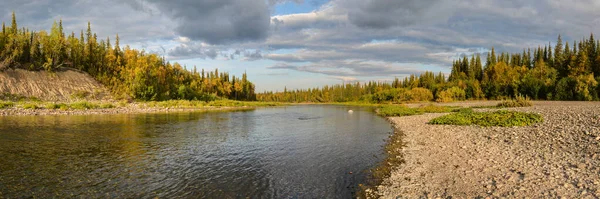 Panorama Wild River Circumpolar Urals Summer Water Landscape North Russia — Stock Photo, Image