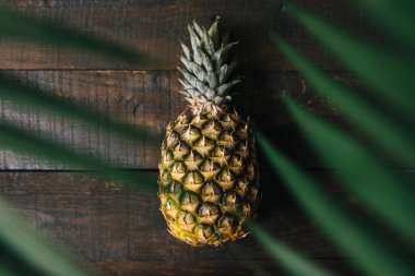 Olgun ananas, palm çerçeve koyu ahşap arka plan üzerinde bırakır. Tropikal meyve yaratıcı kavramı.