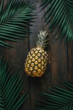 Olgun ananas, palm çerçeve koyu ahşap arka plan üzerinde bırakır. Tropikal meyve yaratıcı kavramı.