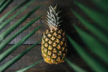 Olgun ananas, palm çerçeve koyu ahşap arka plan üzerinde bırakır. Tropikal meyve yaratıcı kavramı.