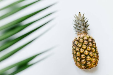 Olgun ananas izole beyaz arka plan üzerinde. Minimalist tarzı moda tropikal kavramı.