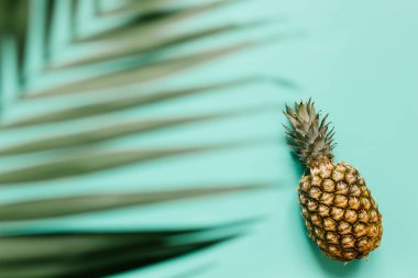 Olgun ananas izole turkuaz arka plan üzerinde. Palm kenarlık çerçeve bırakır. Minimalist tarzı moda tropikal kavramı. Metin, kopyalama, yazı için oda.