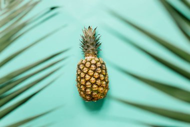 Olgun ananas izole turkuaz arka plan üzerinde. Palm kenarlık çerçeve bırakır. Minimalist tarzı moda tropikal kavramı. Metin, kopyalama, yazı için oda.