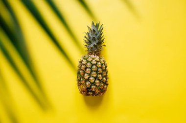 Olgun ananas izole canlı sarı zemin üzerine. Palm kenarlık çerçeve bırakır. Minimalist tarzı moda tropikal kavramı. Metin, kopyalama, yazı için oda.