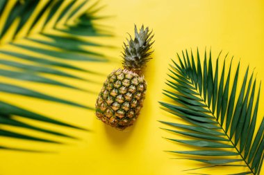 Olgun ananas izole canlı sarı zemin üzerine. Palm kenarlık çerçeve bırakır. Minimalist tarzı moda tropikal kavramı. Metin, kopyalama, yazı için oda.
