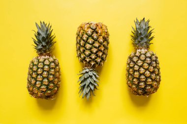 Ağaç izole canlı sarı arka plan üzerinde olgunlaşmış ananas. Minimalist tarzı moda tropikal kavramı.